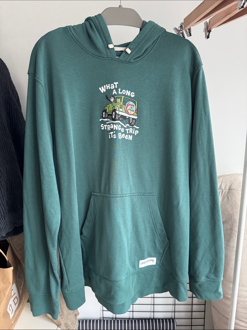 Teal Graphic Hoodie - What A Long Strange Trip It's Been - Life Is Good
